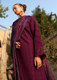 Rang Rasiya Carnation Winter Edition'25 D-11 Espresso