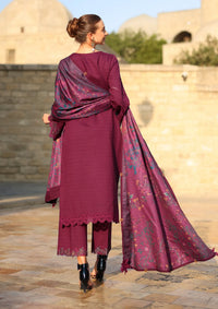 Rang Rasiya Carnation Winter Edition'25 D-11 Espresso