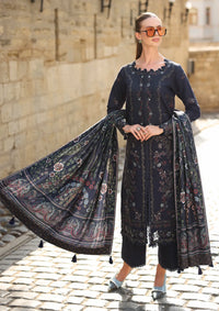 Rang Rasiya Carnation Winter Edition'25 D-12 Americano