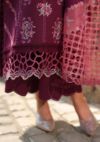 Rang Rasiya Carnation Winter Edition'25 D-09 Affogato