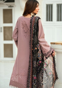 Florent Serenity Woolen Shawls'25 FL-8B