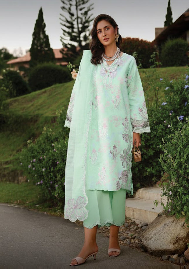 Rang Rasiya Florence'26 -Haniya