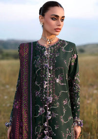 Hussain Rehar Khaddar'25 - Gulbasi