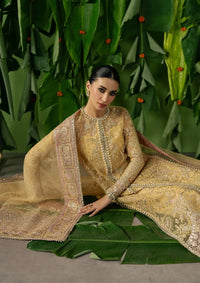 mohsin-saeed-fabrics-affordable-luxury-outfits-for-daily-formal-and-wedding-wear-This-product-is-from-ayzel-pehli-nazar-organza25-d-03-chahat-is-available-on-Mohsin-saeed-fabrics-website.