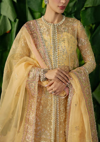 mohsin-saeed-fabrics-affordable-luxury-outfits-for-daily-formal-and-wedding-wear-This-product-is-from-ayzel-pehli-nazar-organza25-d-03-chahat-is-available-on-Mohsin-saeed-fabrics-website.