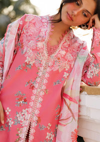 Afrozeh Summer Together'26 -Amelune