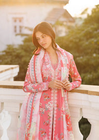 Afrozeh Summer Together'26 -Amelune