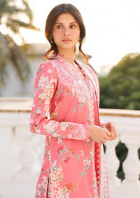 Afrozeh Summer Together'26 -Amelune