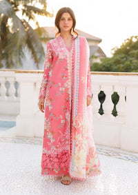 Afrozeh Summer Together'26 -Amelune