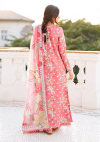 Afrozeh Summer Together'26 -Amelune