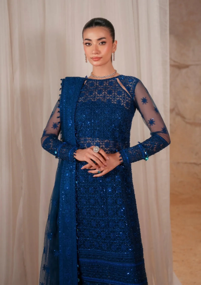 Zarizaa Blink Wedding Festive'25 -TERRA