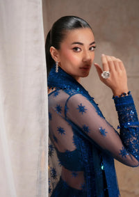 Zarizaa Blink Wedding Festive'25 -TERRA