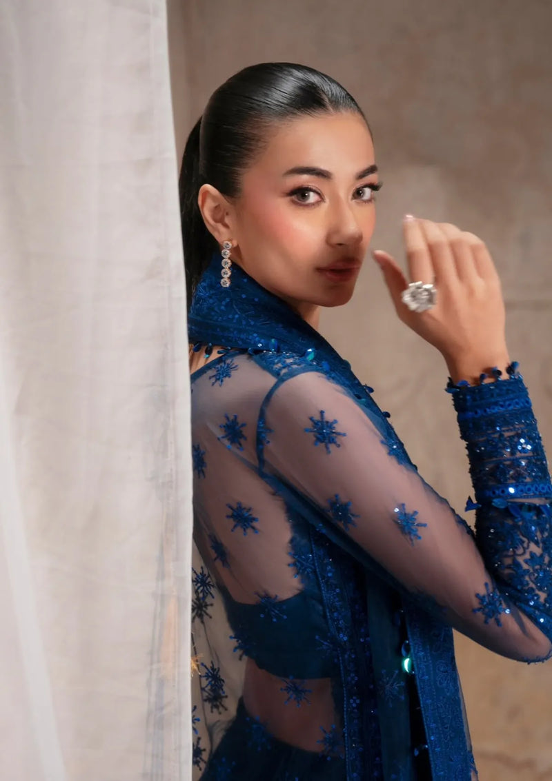 Zarizaa Blink Wedding Festive'25 -TERRA