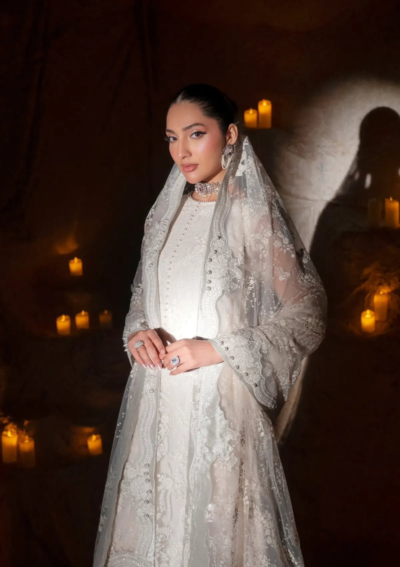 Zarizaa Blink Wedding Festive'25 -PEARL