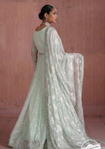 Naqsh by Mashq Chiffon'22 Meraki (QFF-0007) - Mohsin Saeed Fabrics