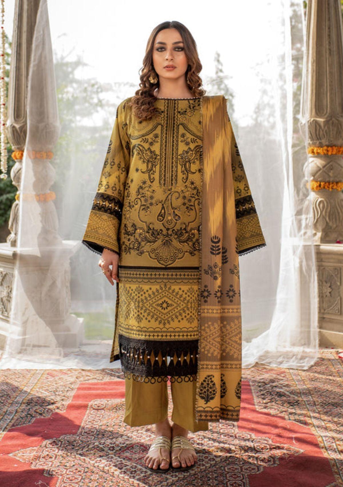 Bin-ilyas-winter-Embroidered-&-Printed-Dress-is-available-at-Mohsin-Saeed-Fabrics-Online-Shopping--