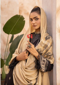 Khoobsurat Mah Jabeen Swati Shawl '22 MS-04 - Mohsin Saeed Fabrics