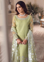 Rang Rasiya Ritzier'22 D-05 (DILNUR) - Mohsin Saeed Fabrics