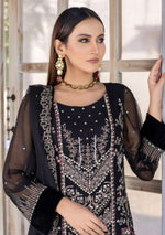 Aayra Emb Chiffon'23 D-02 - Mohsin Saeed Fabrics